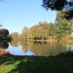 Carp Fishing in France
