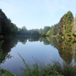Carp Fishing in France