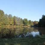 Carp Fishing in France