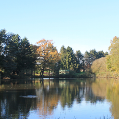 Carp Fishing in France