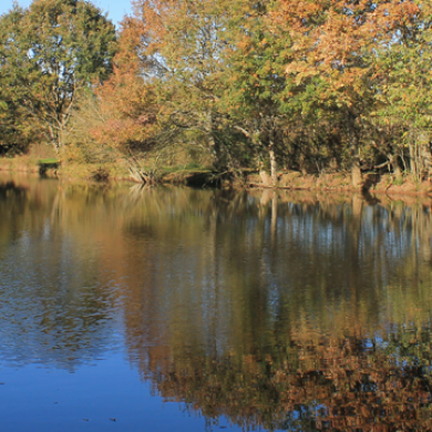 Carp Fishing in France